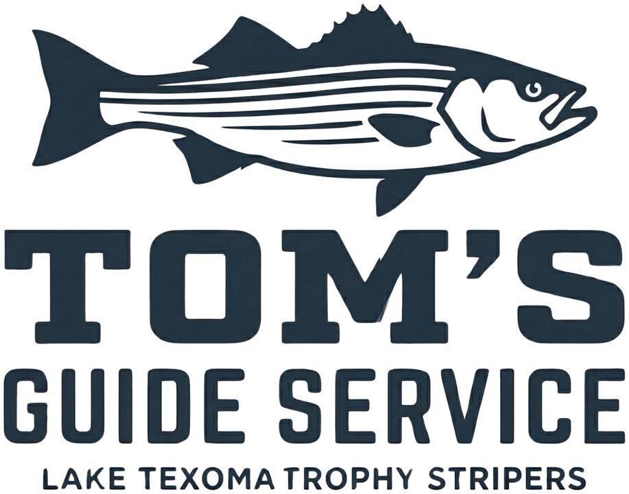 tom's guide service logo